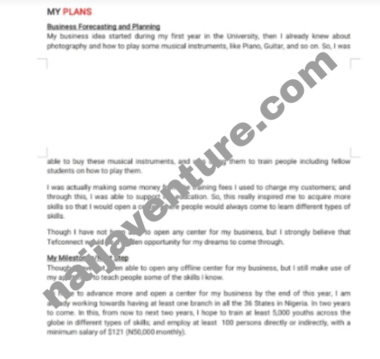 Example of business plan executive summary