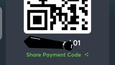Payment with enaira wallet