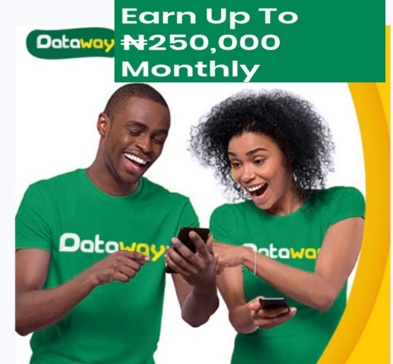 How to make money on Dataway