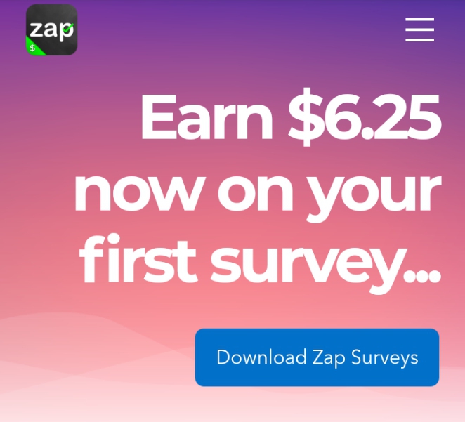How to make money on zapsurveys