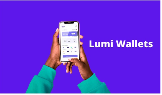 How to earn on Lumi rewards app