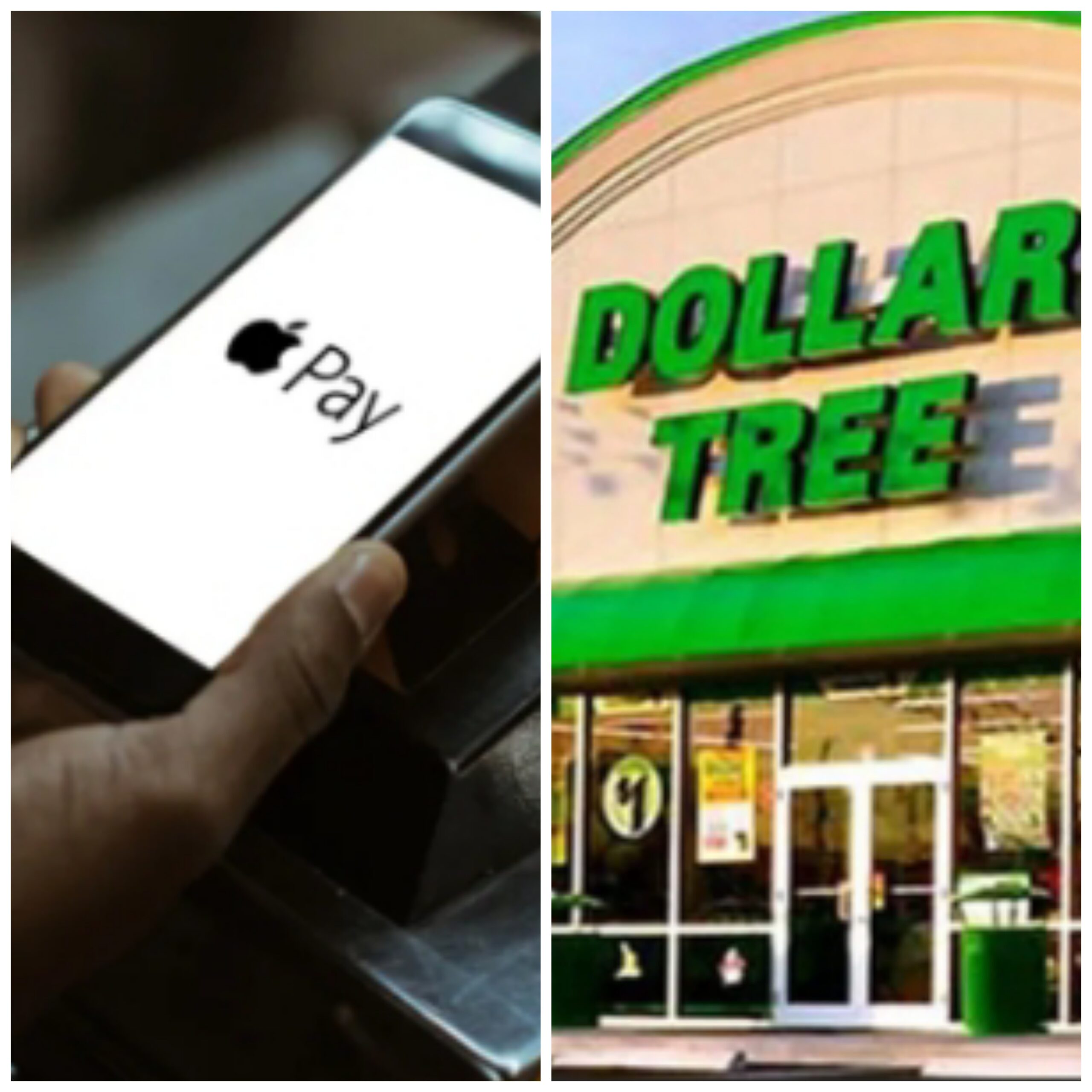 does-dollar-tree-accept-apple-pay-check-it-now-naijaventure