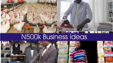 business to start with N500k in Nigeria