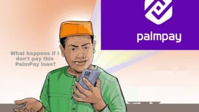What Happens if You Don't Pay PalmPay Loan
