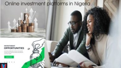 Online Investment Platforms In Nigeria