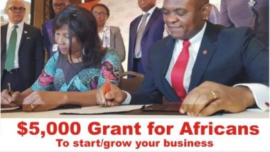 Tony Elumelu $5000 Grant